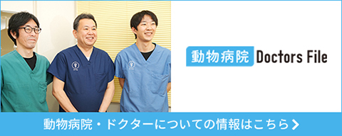 ドクターズファイル