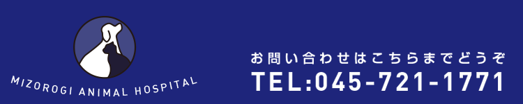 溝呂木動物病院