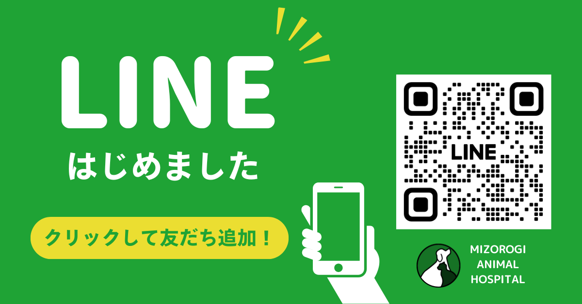 溝呂木動物病院