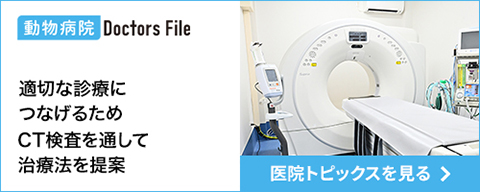 トピックス記事